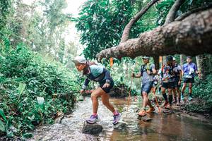 BIB: 
                            <button type="button" onclick="openModal(25374280)" class="btn btn-primary btn-sm float-right btn-popup" data-toggle="modal" data-target=".modal-high-quality">
                        <i class="fas fa-shopping-cart"></i> Add to Cart
                    </button>
                                            <button type="button" onclick="isThisMe(25374280, true)" class="btn btn-success btn-sm float-right btn-popup btn-isme hidden" data-toggle="tooltip" data-placement="bottom" title="นี่คือรูปของคุณใช่ไหม คลิกที่นี่เพื่อเอาเข้าอัลบั้ม">
                        <i class="fas fa-plus"></i> Add to album
                    </button>
                    <button type="button" onclick="isThisMe(25374280, false)" class="btn btn-warning btn-sm float-right btn-popup btn-isnotme hidden">
                        <i class="fas fa-ban"></i> Remove from album
                    </button>